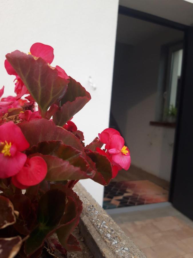 Apartamenty Gusto Ostróda Dış mekan fotoğraf